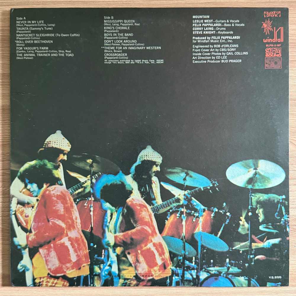 Виниловая пластинка Mountain ‎– The Best Of Mountain LP