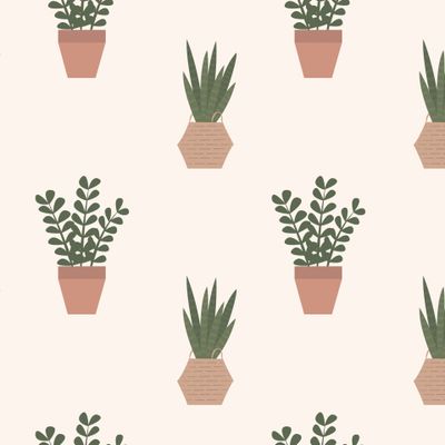 Комнатные растения. House plants, potted plants.