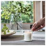 Свеча ароматическая IKEA ADLAD (АДЛАД), Скандинавские леса, Белый, 20 часов