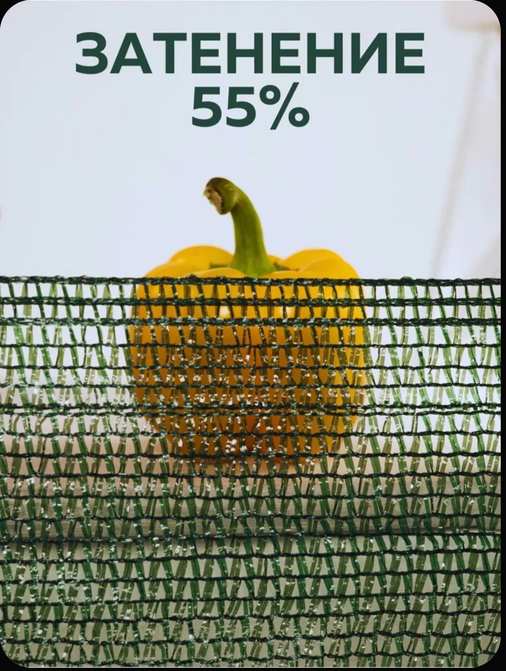 Сетка затеняющая 80% фасованная 2х5 м, зелёная (в комплекте с люверсами)
