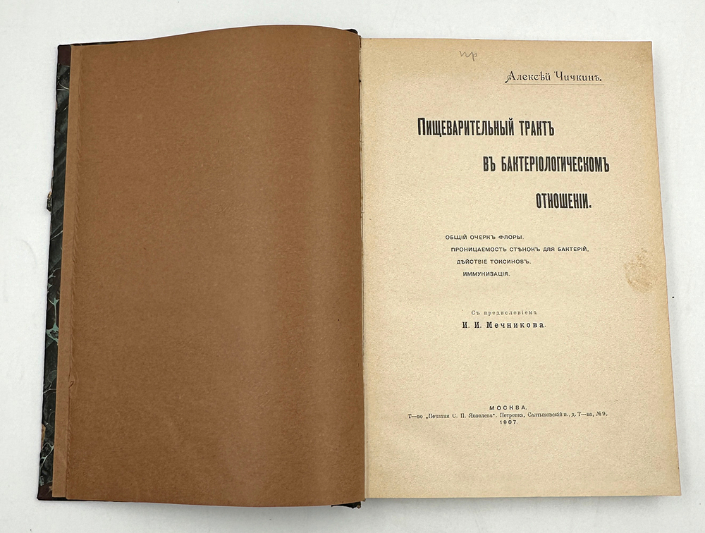 Чичкин А. Пищеварительный тракт в бактериологическом отношении 1907