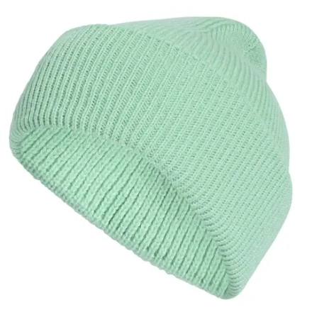 Шапка зимняя Adidas Terrex Multi Beanie - pulse mint