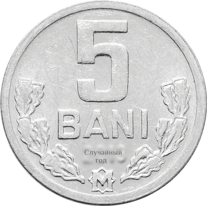 5 бань 1993-2020 Молдавия