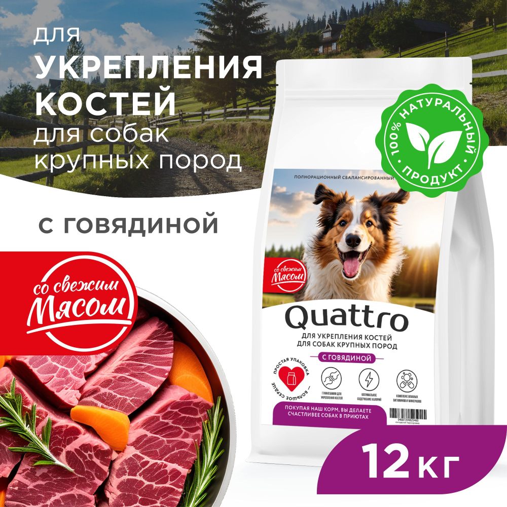 Корм сухой для взрослых собак крупных пород, премиум полнорационный комплекс, для укрепления костей у собак, с говядиной, 12 кг, QUATTRO