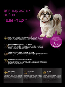 Корм сухой для взрослых собак породы Ши-тцу, с говядиной, 2,5 кг, QUATTRO