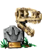 Конструктор Jurassic World 76964 Череп тираннозавра