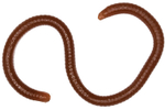 Мягкая приманка LureMax EARTHWORM