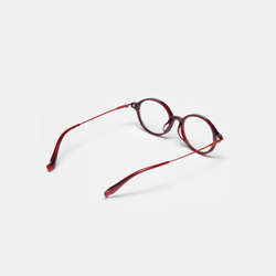 Очки WHITELAB Terra Red / Blue Protect