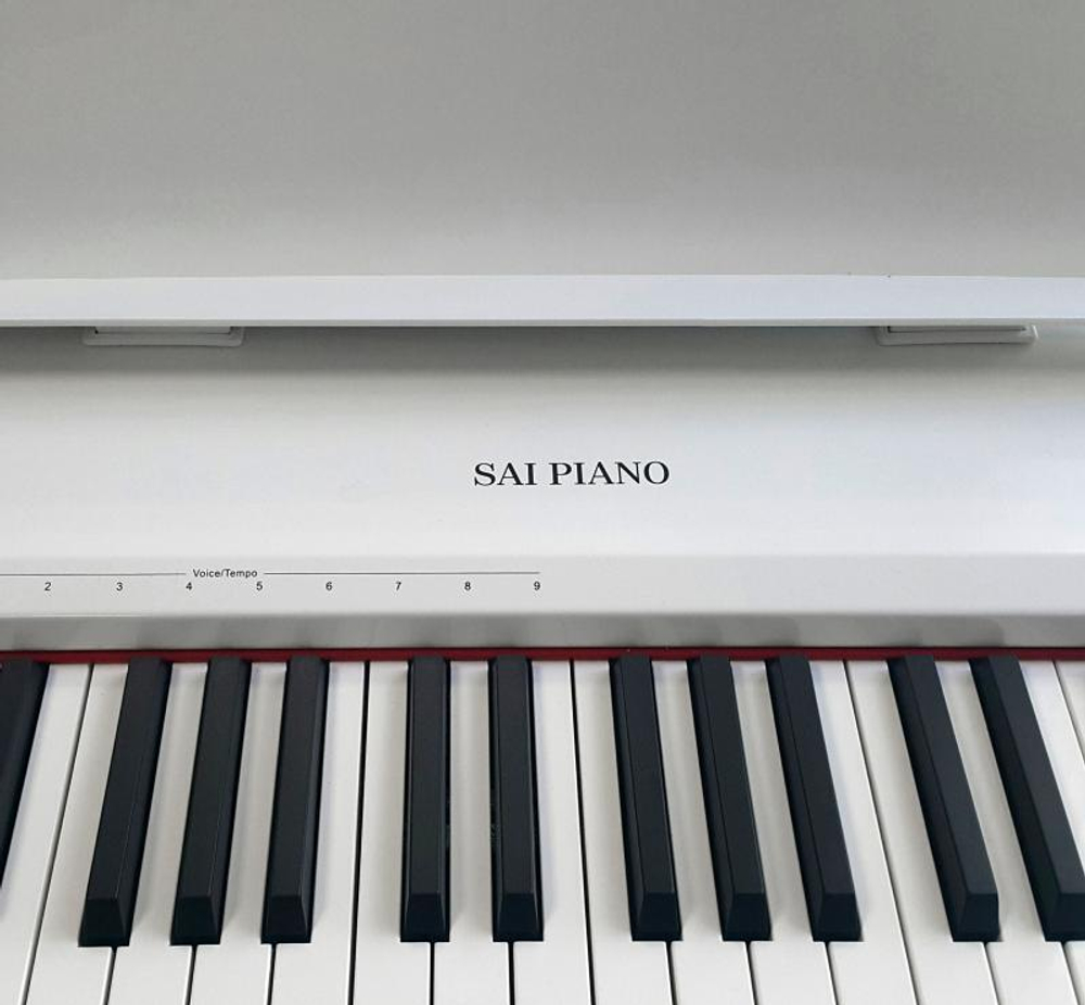 Sai Piano P-9BT