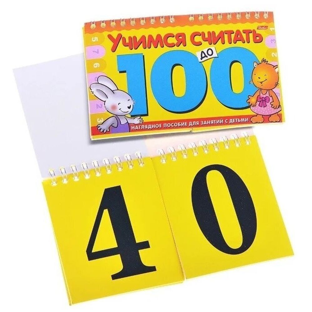 Игра обучающая А5, "Счёт до 100", гребень, 10 л., HATBER, 10ИК5гр 06149, R003160