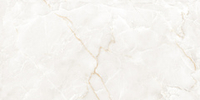 Kevis Ambros Gris Polished 60x120