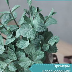 Глина цветная CLAYCRAFT by DECO™ (Зеленая)