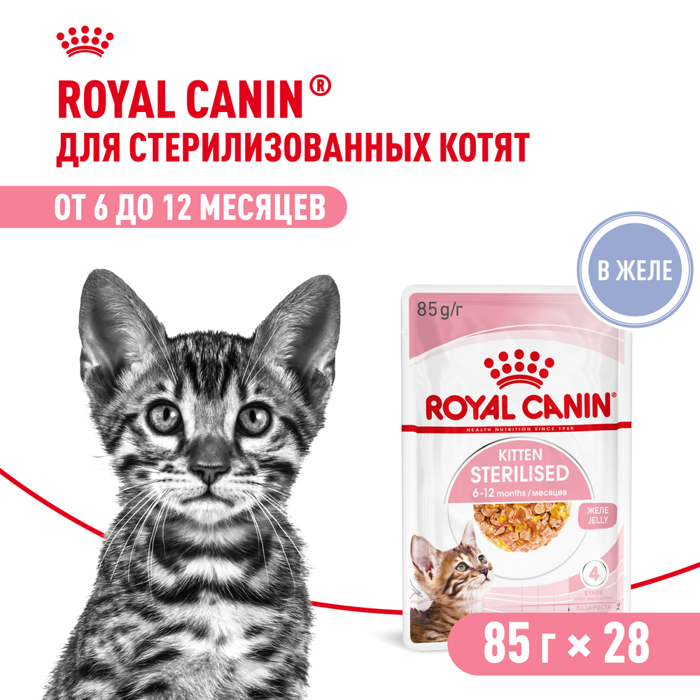 Royal Canin Kitten Sterilised Киттен Стерилайзд Корм влажный для кастрированных и стерилизованных котят в возрасте от 6 до 12 месяцев желе 85г