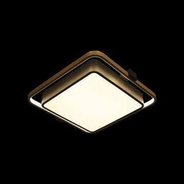 Потолочный светильник LED 34W 4000К 10171 чёрный Mike LOFT IT