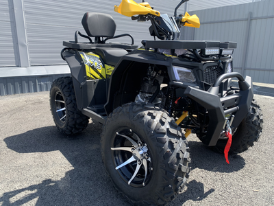 Квадроцикл PROMAX TAURUS 300 MAX-PRO