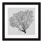 ПостерPrints Shadow Sea Fans set of 4 арт.112752