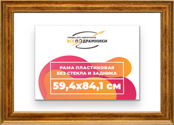 Рама 59,4x84,1 для картин и фотографий