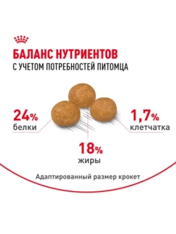 X-Small Adult Корм для собак 3кг