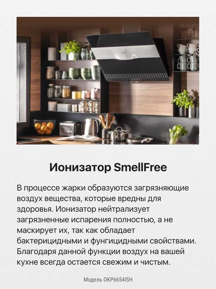 Наклонная вытяжка Hansa OKP6654ISH