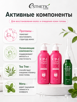 ESTHETIC HOUSE Набор шампунь и бальзам для волос Восстановление CP-1 3Seconds Hair Fill-Up 2х500мл, Средство для очищения кожи головы CP-1 Tea Tree Mint Scaler, 120мл