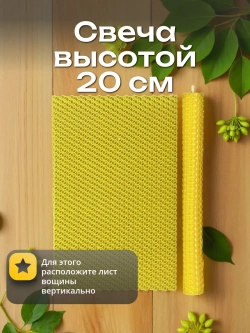 Вощина жёлтая, 12 листов