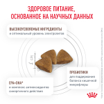 Royal Canin Gastrointestinal Гастроинтестинал Корм сухой диета для взрослых кошек при расстройствах пищеварения и в период реабилитации 2кг