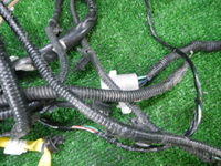 DSCN4442.JPG