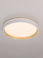 Потолочный светодиодный светильник Citilux Enzo CL753450G