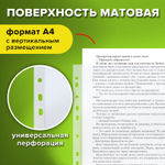 Папки-файлы перфорированные А4 STAFF «ЭКОНОМ», КОМПЛЕКТ 100 шт., матовые, 25 мкм