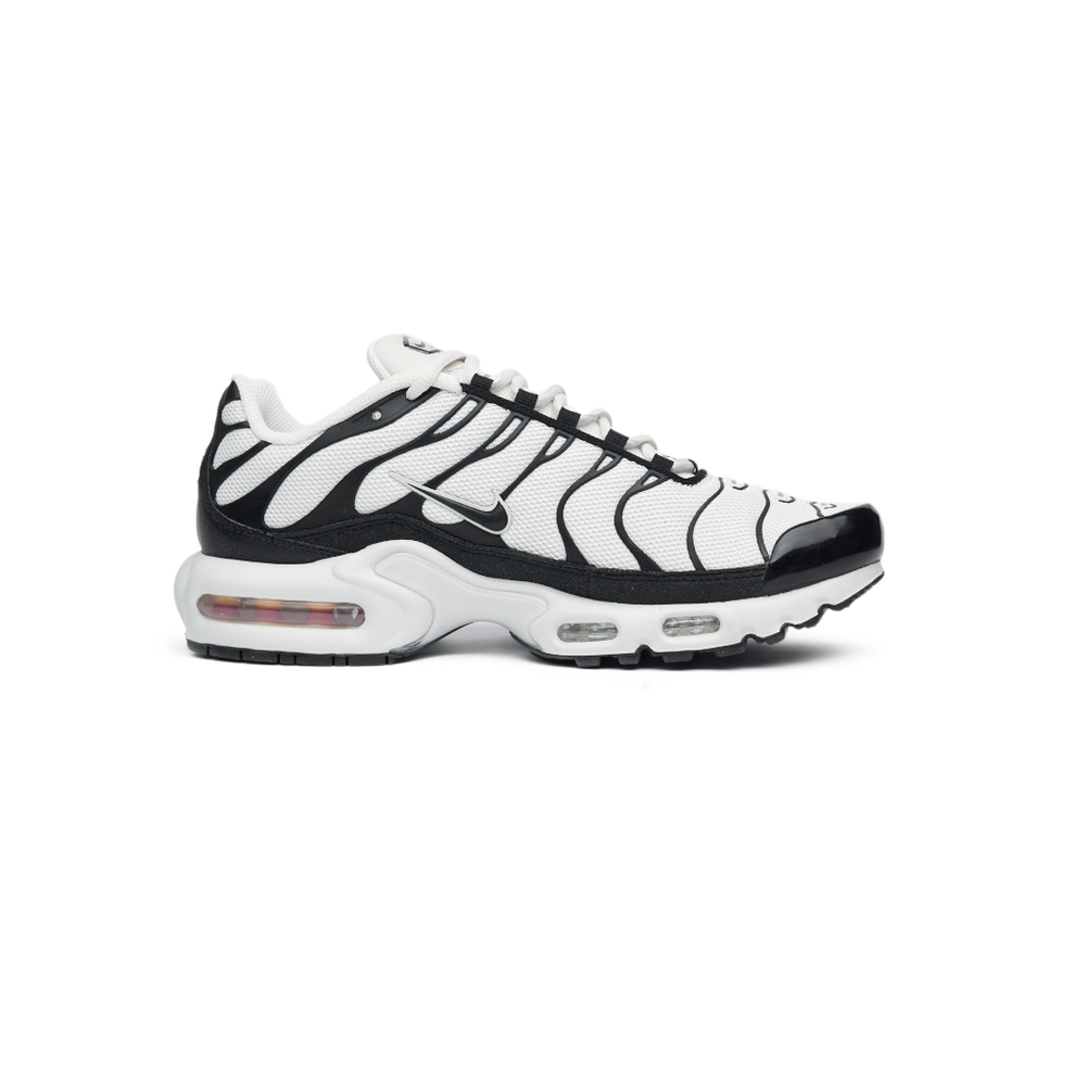 Кроссовки Nike Air Max Plus "Panda"
