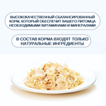 Wanpy Cat Консервы для кошек "Курица с тунцом" 24шт по 95 г