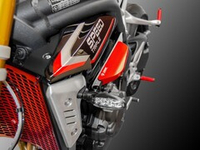 DUCABIKE Слайдеры в раму Triumph Speed Triple RR / RS