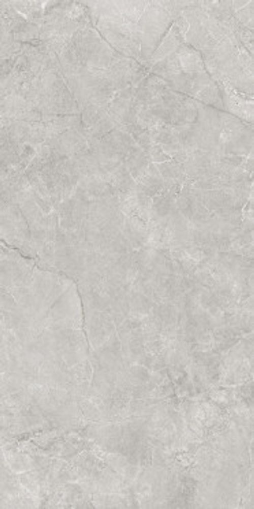 Керамогранит Pluto Silver светло-серый (SG50005220R) матовый