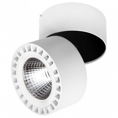 Спот Lightstar Forte IP65 381363