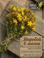 Зверобой соцветия для силы, творчества и защиты