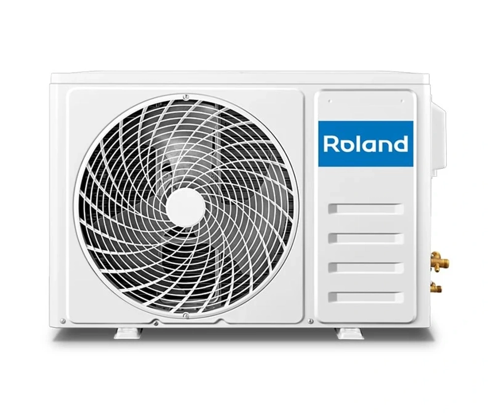 Roland RD-WZ09HSS/N1