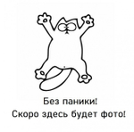 Дверь-купе NAIDY П, зеркало, профиль вишня