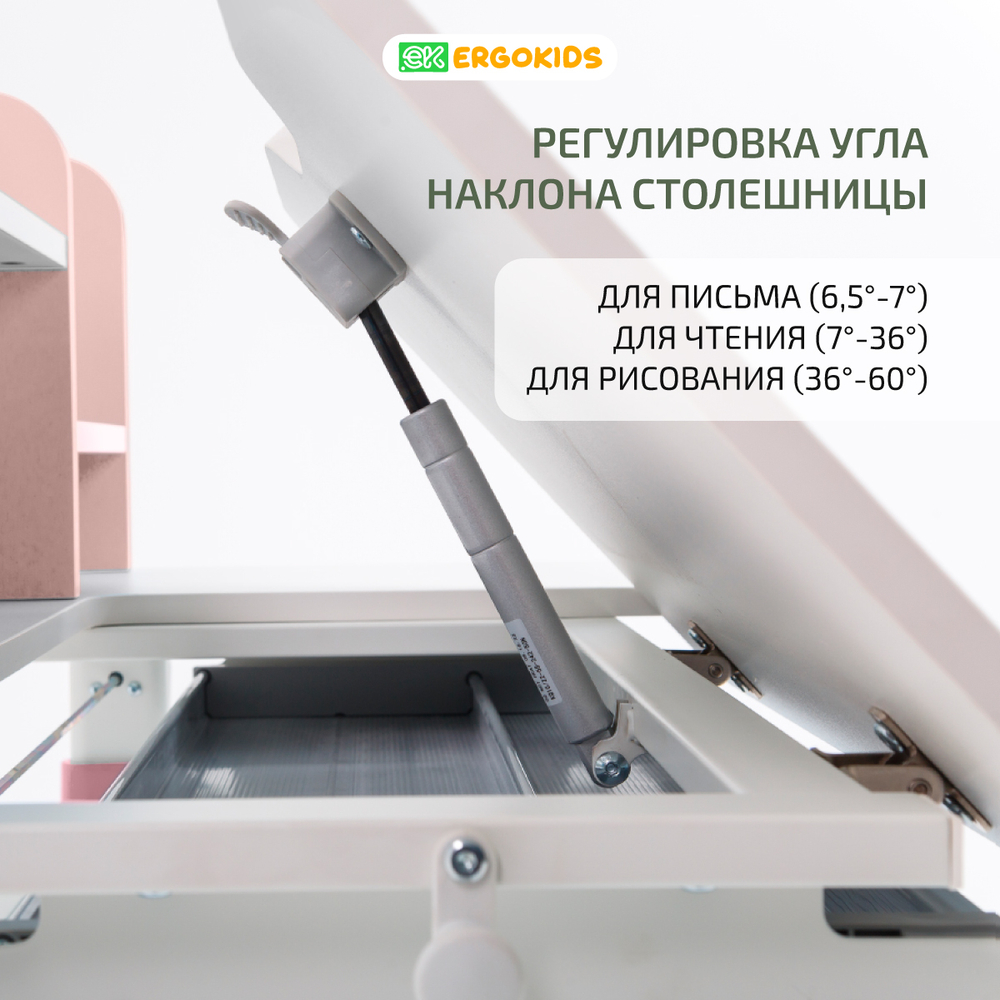 Растущая парта Ergokids Argo-2