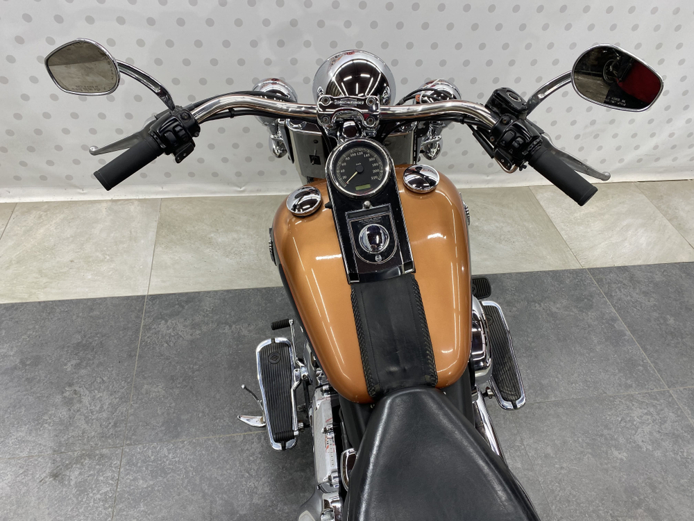 Harley-Davidson Deluxe FLSTN1580 , 2008