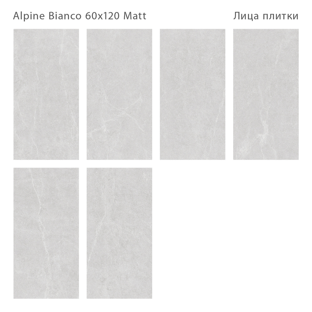 ALPINE BIANCO 60x120 MATT