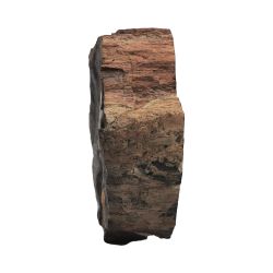 Окаменелое дерево (10,2*9,2*3,0 см)