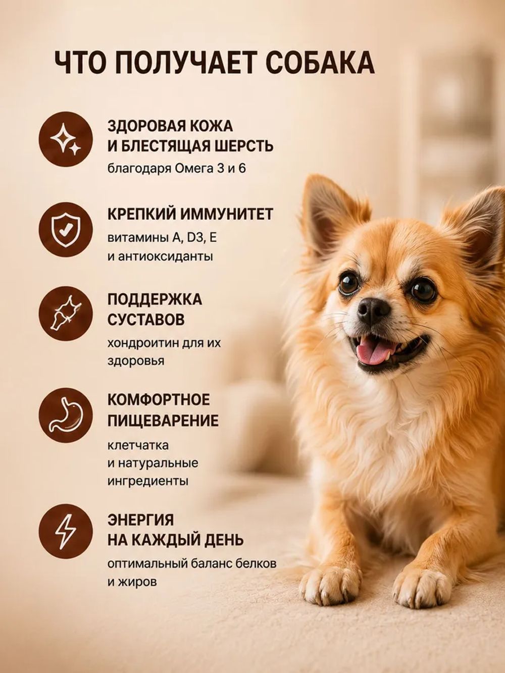 Сухой корм Fealdon для взрослых собак мелких пород с говядиной