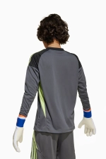 Вратарская кофта adidas Tiro Competition 25 GK Детская - черный