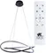 Подвесная люстра Swing A2522SP-2BK Arte Lamp