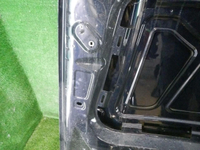 DSCN8594.jpg