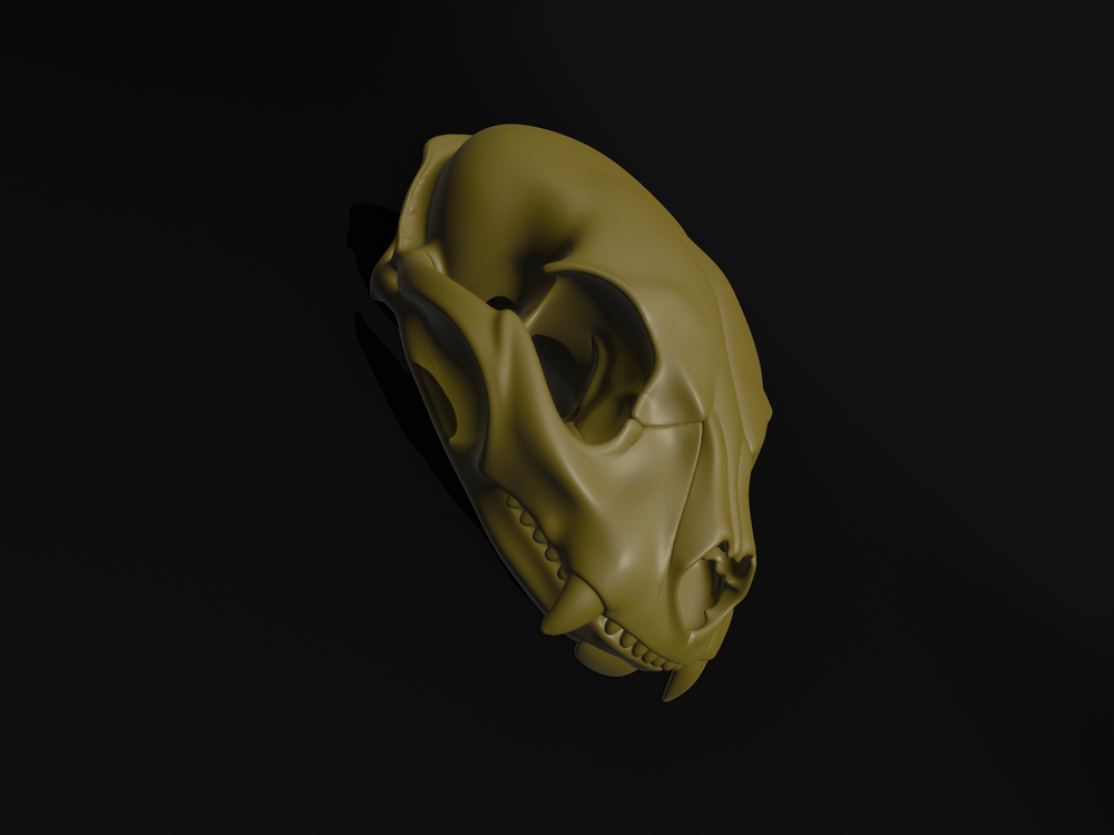 Модель череп кошки STL