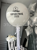 Набор шаров «Здравствуй школа»