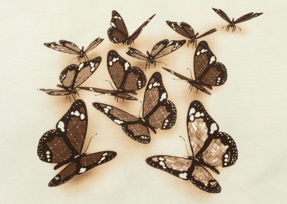 Велюр Батэрфляис браун (Butterflies brown) 3D-02