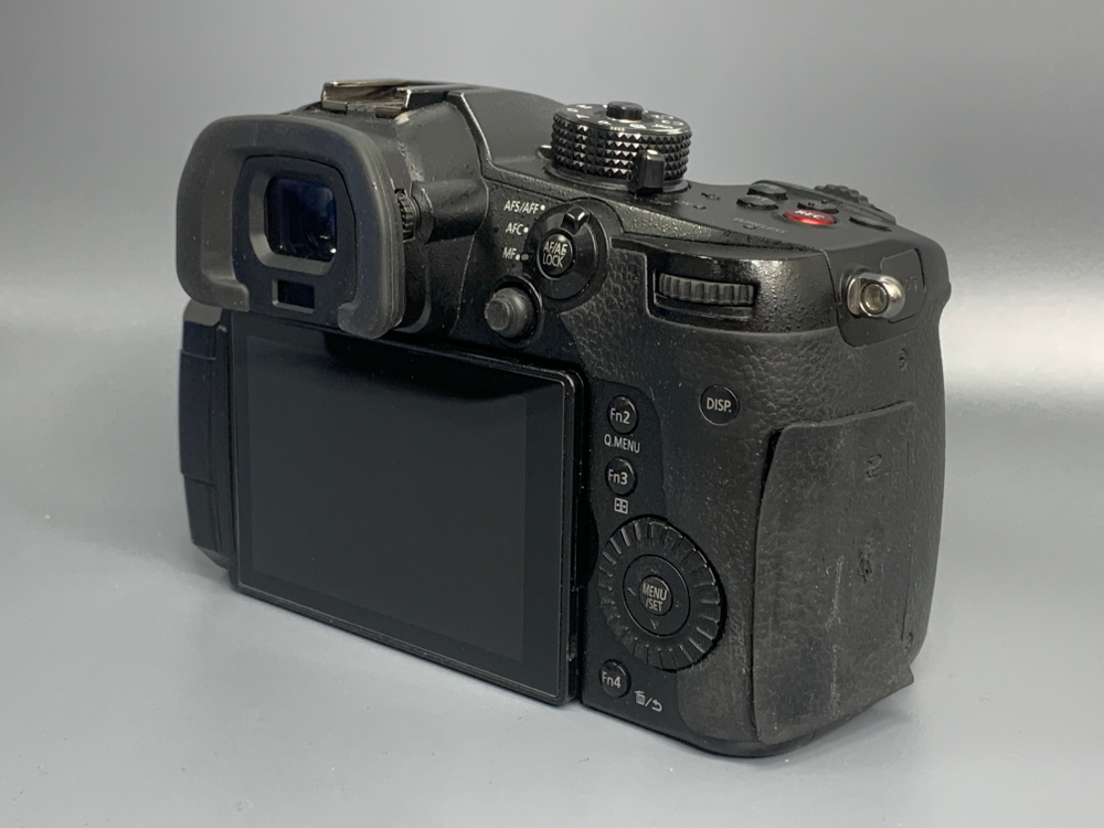 Panasonic Lumix GH5S 16.000 кадров