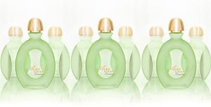 Loewe Aire Evasion